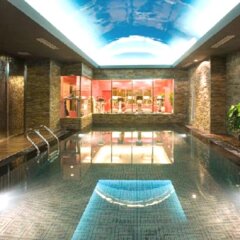 Отель Novotel Beijing Sanyuan с домашними животными