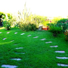 Отель Agriturismo Comino Alto Синискола фото 22