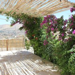 Отель Petra Bed & Breakfast Иордания, Вади-Муса - отзывы, цены и фото номеров - забронировать отель Petra Bed & Breakfast онлайн фото 4