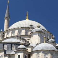 New Fatih Hotel Турция, Стамбул - отзывы, цены и фото номеров - забронировать отель New Fatih Hotel онлайн развлечения