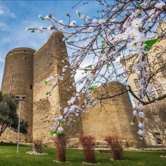 Отель Boutique Hotel Baku Азербайджан, Баку - 1 отзыв об отеле, цены и фото номеров - забронировать отель Boutique Hotel Baku онлайн фото 2