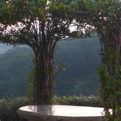 Отель Zen Valley Dalat Далат