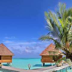 Отель Gangehi Island Resort бассейн фото 3