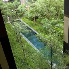 Отель Crowne Plaza Changi Airport Сингапур балкон
