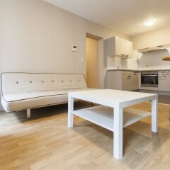 Отель Madou City Center Apartment Бельгия, Брюссель - отзывы, цены и фото номеров - забронировать отель Madou City Center Apartment онлайн комната для гостей фото 2