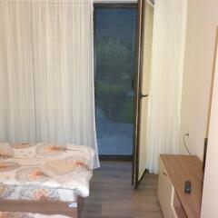 Отель Borani Guest House Болгария, Ардино - отзывы, цены и фото номеров - забронировать отель Borani Guest House онлайн фото 10