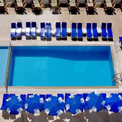 Kleopatra Arsi Hotel с домашними животными