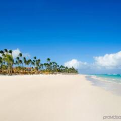 Отель Secrets Royal Beach Punta Cana Доминикана, Пунта Кана - отзывы, цены и фото номеров - забронировать отель Secrets Royal Beach Punta Cana онлайн пляж