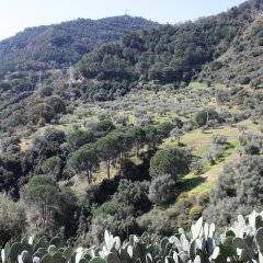 Отель Azienda Agrituristica Le Puzelle Санта Северина фото 5