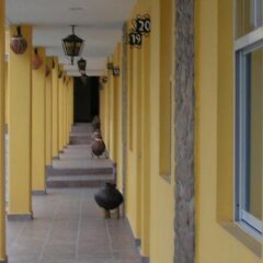 Отель Paraiso del Bosque интерьер отеля фото 2