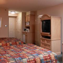 Отель Hilton Garden Inn Orlando at SeaWorld комната для гостей