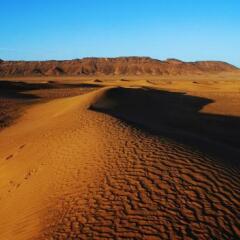 Отель Bivouac Sahara Relax Марокко, Загора - отзывы, цены и фото номеров - забронировать отель Bivouac Sahara Relax онлайн приотельная территория фото 2