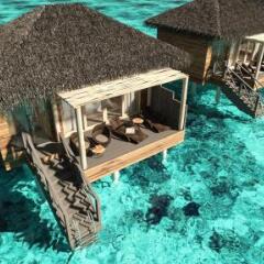Отель You & Me Maldives Мальдивы, Медупару - отзывы, цены и фото номеров - забронировать отель You & Me Maldives онлайн фото 5