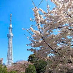 Отель First Cabin Atagoyama Япония, Токио - отзывы, цены и фото номеров - забронировать отель First Cabin Atagoyama онлайн пляж