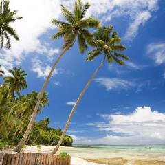 Отель Mango Bay Resort Фиджи, Вити-Леву - отзывы, цены и фото номеров - забронировать отель Mango Bay Resort онлайн пляж