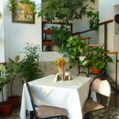 Отель Tonus Guest House Аврен питание