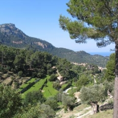 Отель Agroturismo S'Olivar Испания, Эстелленс - отзывы, цены и фото номеров - забронировать отель Agroturismo S'Olivar онлайн фото 3