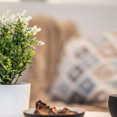 Отель Urban Nest - Suites & Apartments Греция, Афины - отзывы, цены и фото номеров - забронировать отель Urban Nest - Suites & Apartments онлайн спа