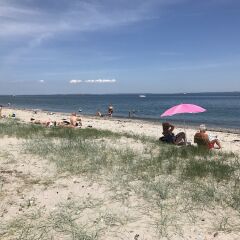 Отель Ajstrup Beach Camping & Cottages Дания, Орхус - отзывы, цены и фото номеров - забронировать отель Ajstrup Beach Camping & Cottages онлайн пляж фото 2