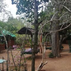 Отель Yala Wild House детские мероприятия фото 2