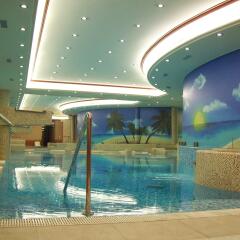 Palace Hotel Legnano Леньяно бассейн