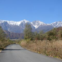 Отель Pension Blue Хакуба фото 9