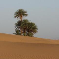 Отель Bivouac Sahara Relax Марокко, Загора - отзывы, цены и фото номеров - забронировать отель Bivouac Sahara Relax онлайн удобства в номере