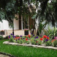 Гостиница Velle Rosso Украина, Одесса - отзывы, цены и фото номеров - забронировать гостиницу Velle Rosso онлайн фото 2