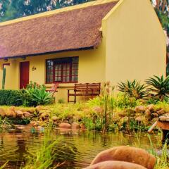 Отель Rosedale Organic Farm B&B бассейн