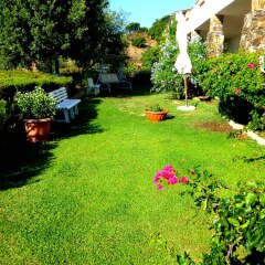 Отель Agriturismo Comino Alto Синискола фото 20