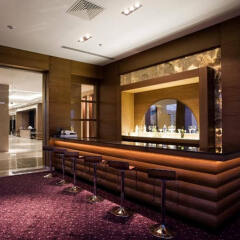 Anemon Afyon Spa Hotel & Convention Center Афьонкарахисар помещение для мероприятий