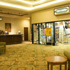 Отель Arizona Charlie's Boulder - Casino Hotel, Suites, & RV Park США, Лас-Вегас - отзывы, цены и фото номеров - забронировать отель Arizona Charlie's Boulder - Casino Hotel, Suites, & RV Park онлайн интерьер отеля фото 2