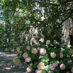 Hotel Dubrava Будва помещение для мероприятий