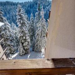 Отель Mountain Lodge Aparthotel Пампорово