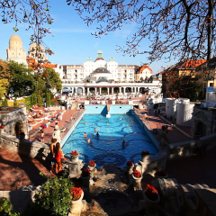Danubius Hotel Gellert бассейн