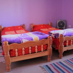 Отель Petra Bed & Breakfast Иордания, Вади-Муса - отзывы, цены и фото номеров - забронировать отель Petra Bed & Breakfast онлайн детские мероприятия