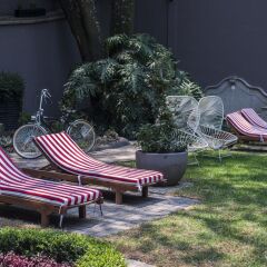 Отель Pug Seal B&B Coyoacan Мексика, Мехико - отзывы, цены и фото номеров - забронировать отель Pug Seal B&B Coyoacan онлайн бассейн фото 2