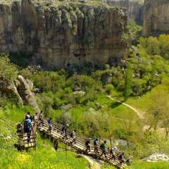 Elaa Cave Hotel Турция, Ургуп - отзывы, цены и фото номеров - забронировать отель Elaa Cave Hotel онлайн фото 10
