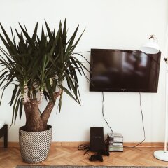 Отель Lucka Rooms - California Dreaming B24.2 Польша, Варшава - отзывы, цены и фото номеров - забронировать отель Lucka Rooms - California Dreaming B24.2 онлайн интерьер отеля