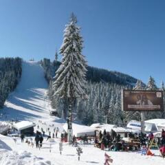 Отель Aparthotel Pine Hills Pamporovo Пампорово фото 8