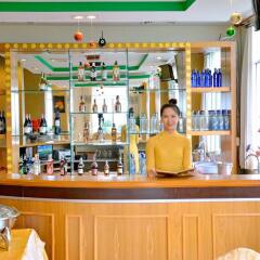 Green Hotel гостиничный бар