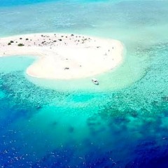 Отель Velana Blu Maldives с домашними животными