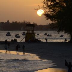 Little Arches Boutique Hotel Barbados - Adults only фото 4