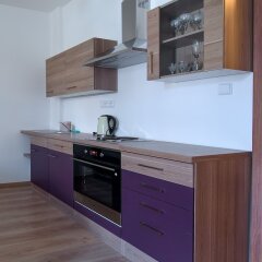 Отель Residence Dobrovskeho 30 Чехия, Прага - отзывы, цены и фото номеров - забронировать отель Residence Dobrovskeho 30 онлайн фото 13