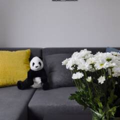 Апартаменты Panda Apartments Grzybowska Modern комната для гостей фото 4