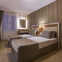 Lonicera City Hotel комната для гостей фото 2
