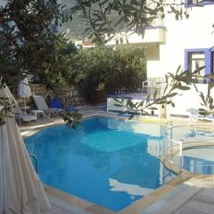 Lizo Hotel бассейн фото 2