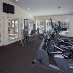 Отель Holiday Inn Club Vacations: Las Vegas at Desert Club Resort США, Лас-Вегас - отзывы, цены и фото номеров - забронировать отель Holiday Inn Club Vacations: Las Vegas at Desert Club Resort онлайн фитнесс-зал фото 3