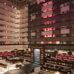 Отель Sofitel Budapest Chain Bridge Венгрия, Будапешт - 12 отзывов об отеле, цены и фото номеров - забронировать отель Sofitel Budapest Chain Bridge онлайн развлечения