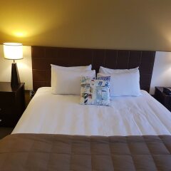 Quality Hotel Oceans Tutukaka комната для гостей